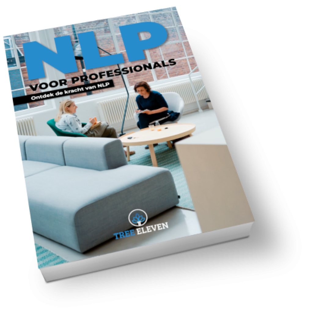 E-book NLP voor Professionals
