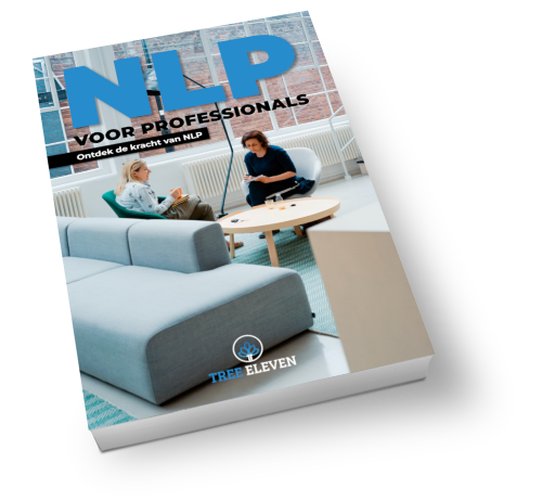 E-book NLP voor Professionals