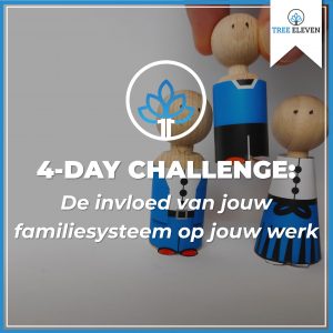 Challenge - De invloed van jouw familiesysteem op jouw werk