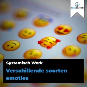 Primaire en secundaire emoties - systemisch werk - Tree eleven