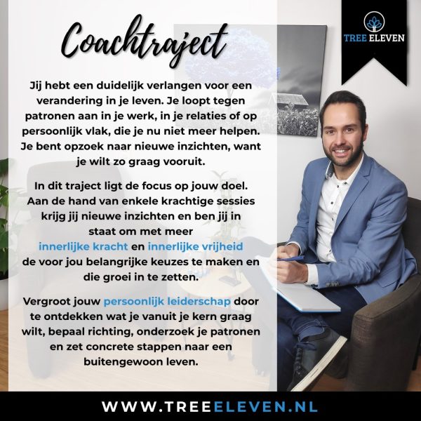 Individuele coaching voor professionals Tree Eleven Utrecht